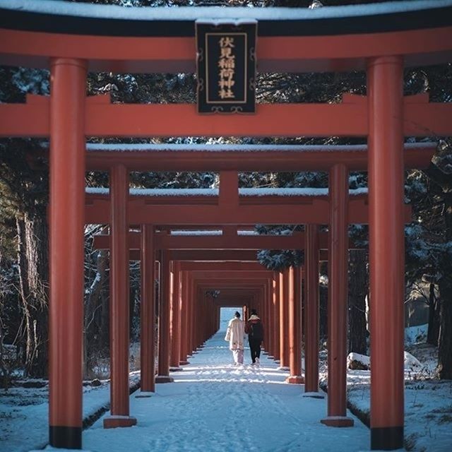 tourinjapan's tweet photo. Believe it or not, this is not Kyoto!This branch of Fushimi Inari Shrine is in the northern city of Sapporo. With 27 beautiful vermilion torii gates, the shrine looks especially gorgeous in winter!Thanks to the talented for capturing this snowy view!.#japan #japantravel #visitja https://t.co/cZUeXVQ5OE