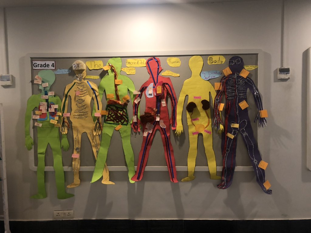 tasarsi's tweet photo. Gr 4 Ss #makingthinkingvisible #PZ during their #PYP #inquiry into human body systems on 3D human #cutouts. #creativity #SISMumbai #PYPchat @ibpyp @abhimanyudg77 @veenadsilva @Knitarow @kjinquiry @AdamHillEDU @PuriShilpi @flona_tauro https://t.co/M2VBkwjxAu