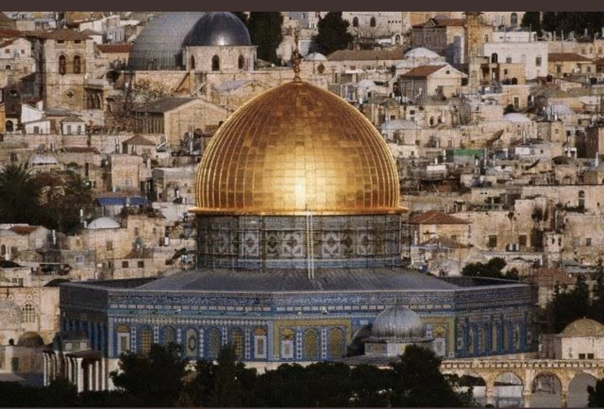 Gündoğan Demir (@gundogandemir) on Twitter photo 