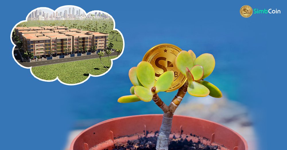 Airdrop83196036's tweet image. At its core, #SimbCoin is a smart currency developed by very visionary engineers. This eliminates the need for banks, eliminates credit card fees, currency exchange fees, money transfer fees.
+237 233 432 078 / +971 52 484 8653
ow.ly/YKXR50wt7aI
#SMB #Cryptocurrency #Coin