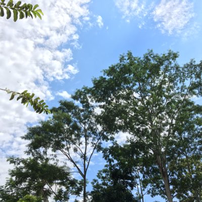 ariestasari4's tweet photo. #FotoProfilBaru https://t.co/ZO202Wmep6