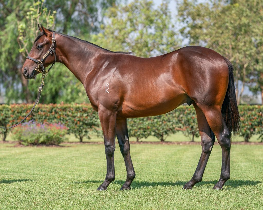 SledmereStud's tweet photo. Good to see @widdenstud stallion Outreach with his first winner today on the relative eve of the @inglis_sales Classic. @SledmereStud is to offer a quality son on Day 3 (Lot 687) with notable black-type in his first four removes. #proudfamilytradition https://t.co/3JeF5JAk1u