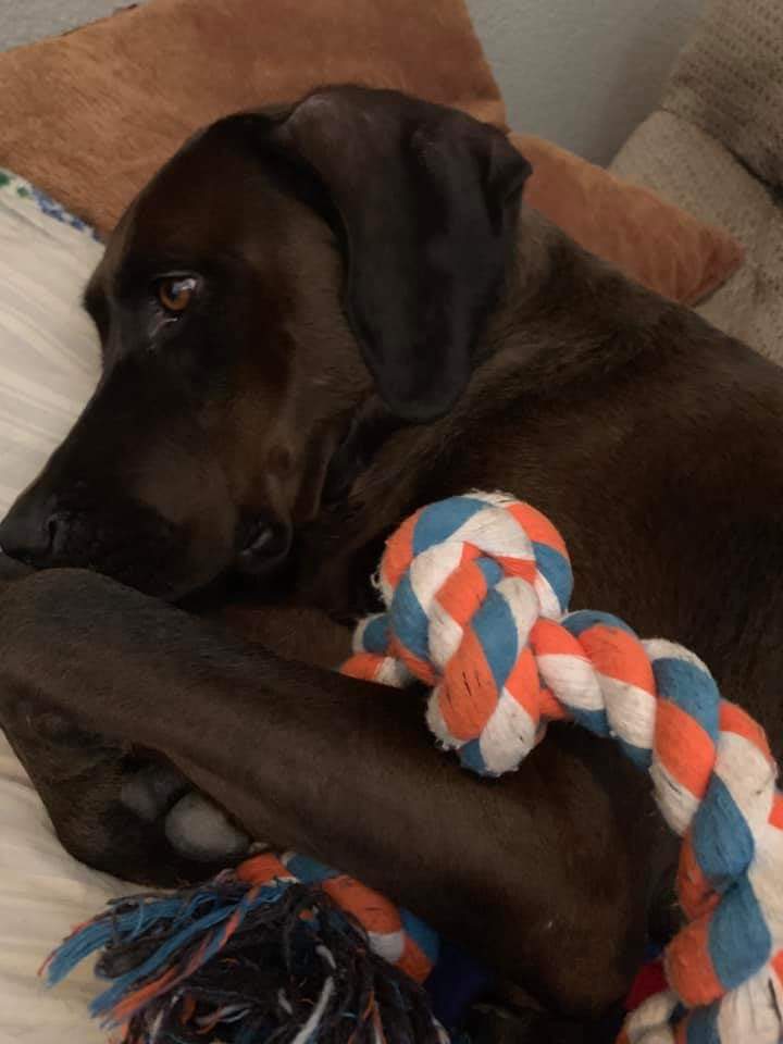 skberry64 🌵 tweet media