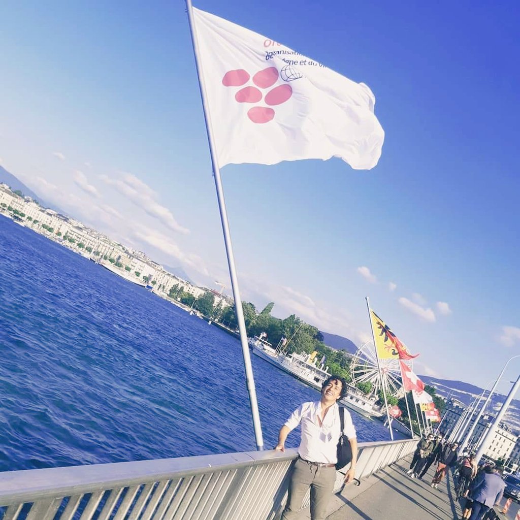relaxoroboto's tweet photo. #mexico & @oiv_int
#oiv2018uruguay #oiv2019ch
Soon #oiv2020cl
#wine #authenticity #metabolomics #geographicalorigin #dealcoholisedwine #oenology #nmrspectroscopy
@cmv_mx #todosunidosporelvinomexicano https://t.co/RueCNbQG6N