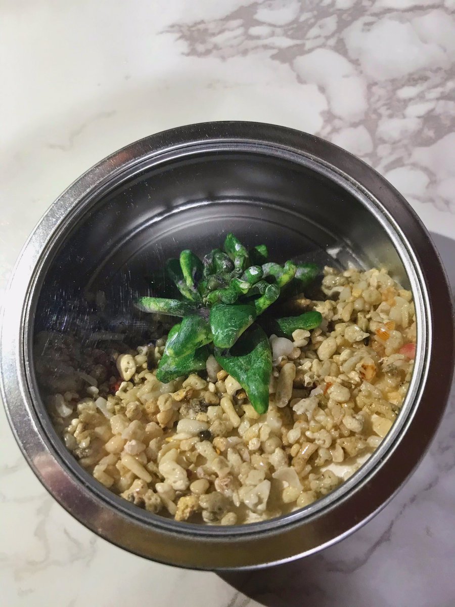 こみくぅ Resin Kobo Comiqoo Room 絶対枯れない多肉テラリウム第2弾完成 やっぱり磁石が弱いので貼り付けるのは心もとないね 落ちて破損とか最悪だし テラリウム Uvレジン 多肉植物