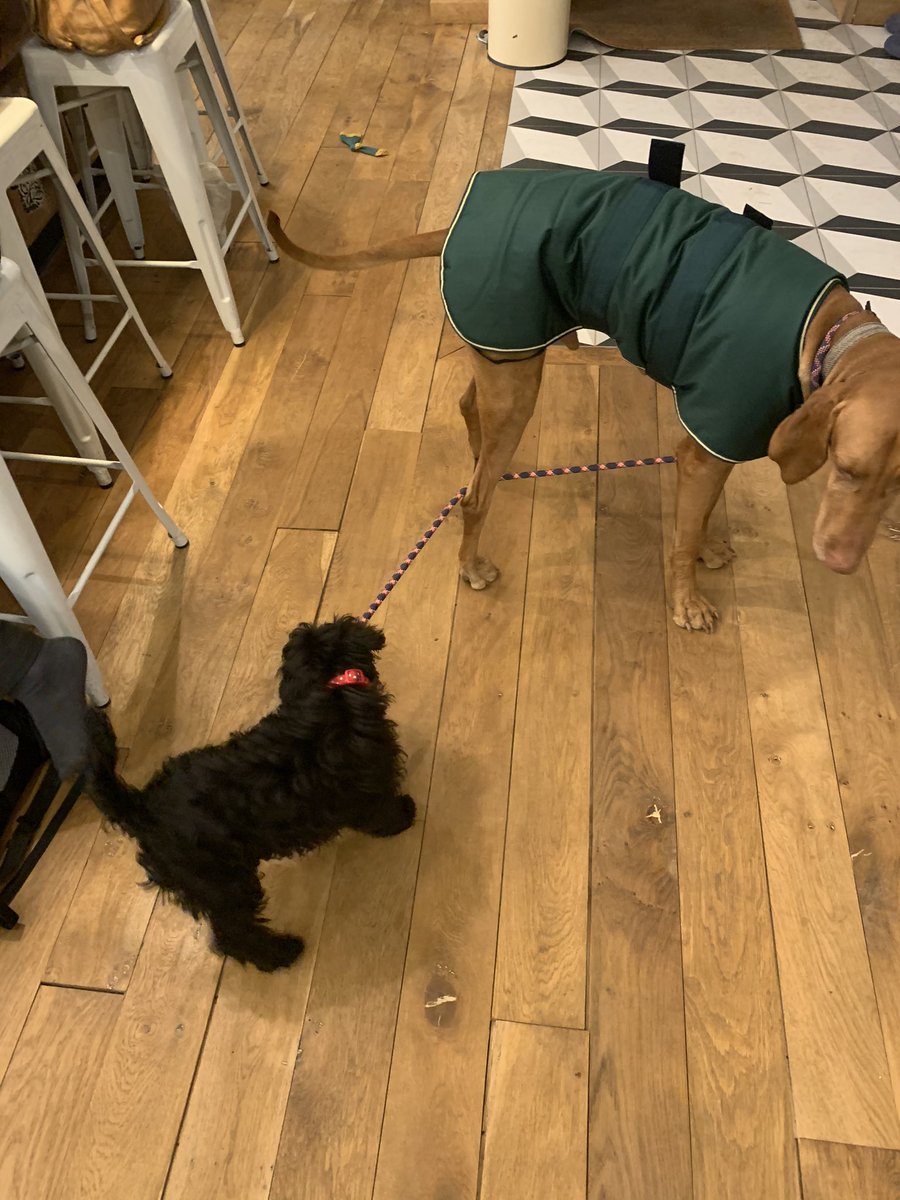 iamsmudge tweet media