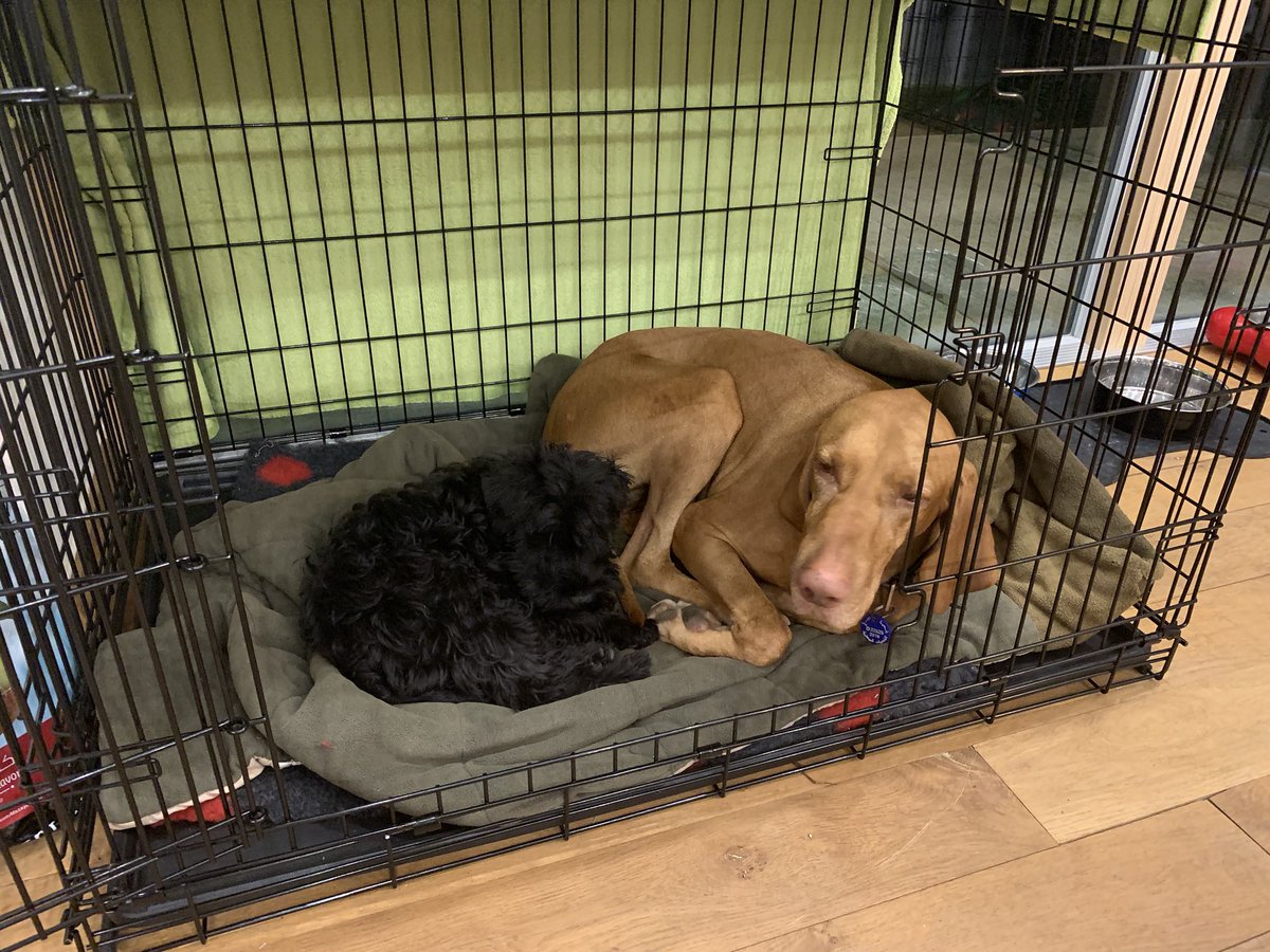 iamsmudge tweet media