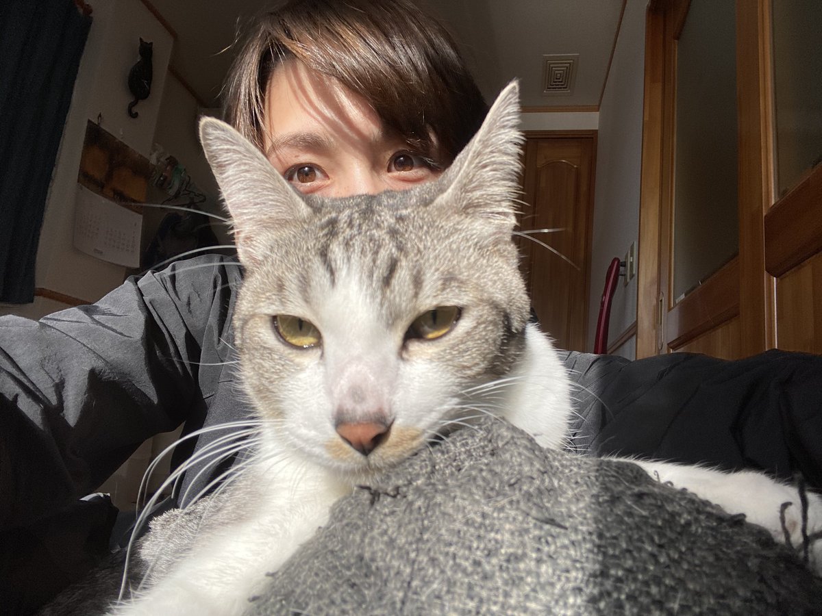 出口クリスタ Christa Deguchi 昨日は今夜くらべてみましたを観て頂きありがとうございました これからも猫の良さを全世界に発信していきたいと思います