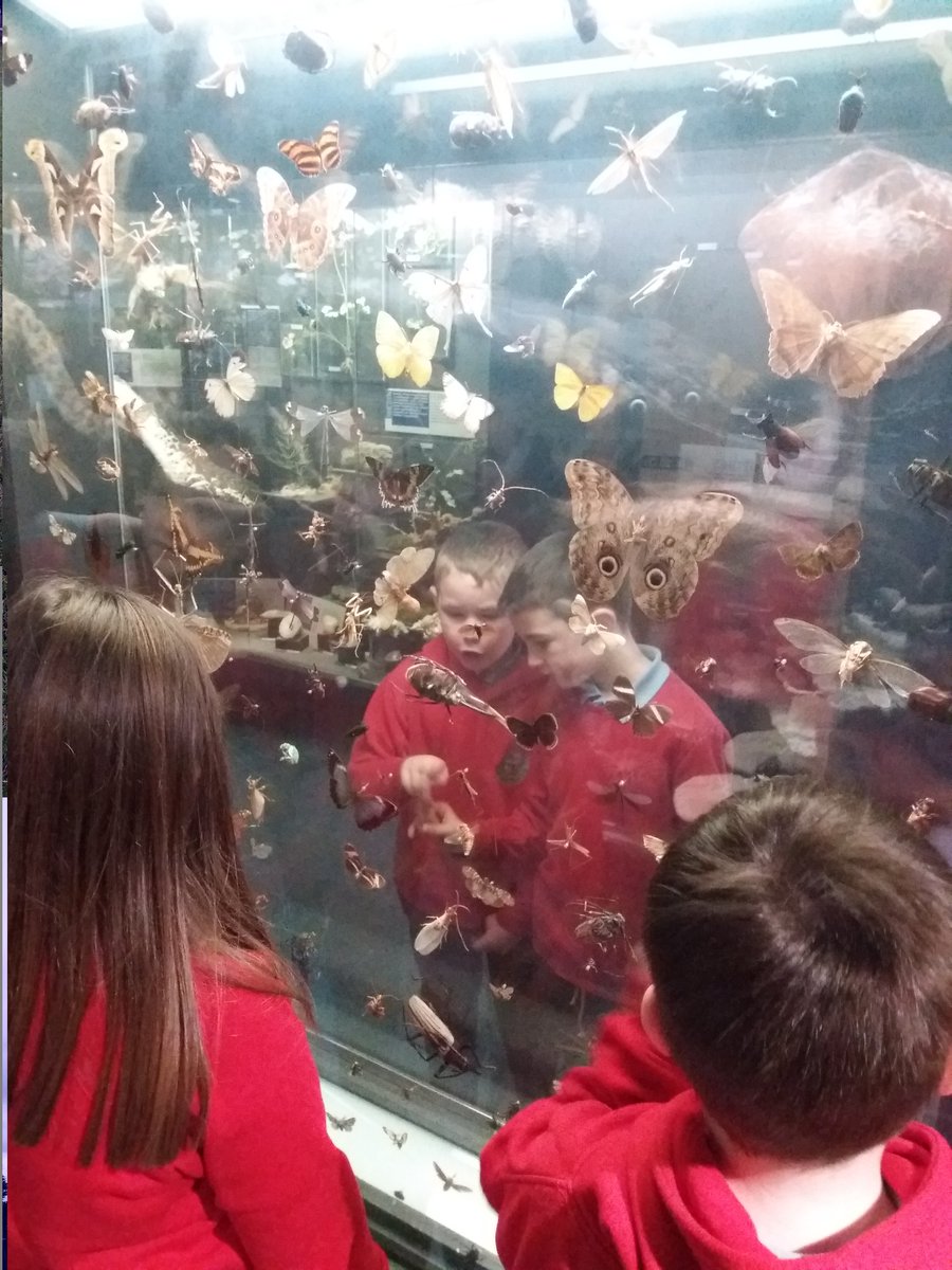 PentrerGraig's tweet photo. #pgpmercury have had an amazing day of learning at the National Museum of Wales #pgphazardhunters #pgphum https://t.co/WjekYoW5WL