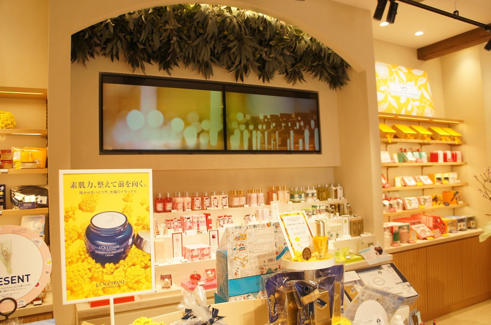 台無しに 目的 ルネッサンス ロクシタン 舞浜 Manate Jp