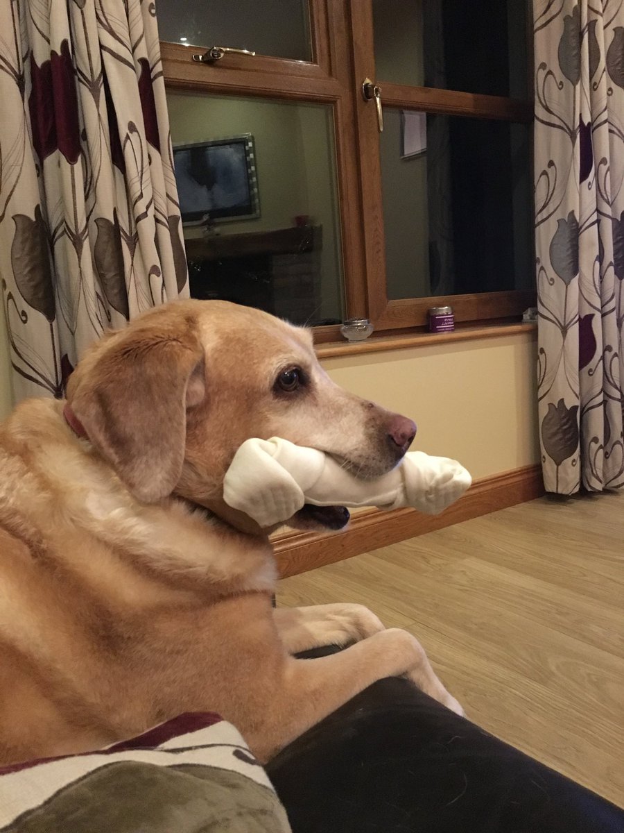 Day 5 of my life in 7 pictures
Rules: no words, no people.
Challenge someone new each day. 
I was challenged by <a href="/Cousins_Gary/">Gary Cousins</a> 
Today I challenge <a href="/eileendunlop1/">Ëĺoŉ Mùsk💙</a>