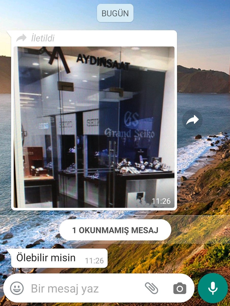 Patronumun nezaketi temalı