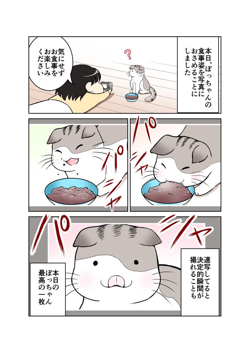 Twoucan おぼっちゃん の注目ツイート イラスト マンガ コスプレ モデル