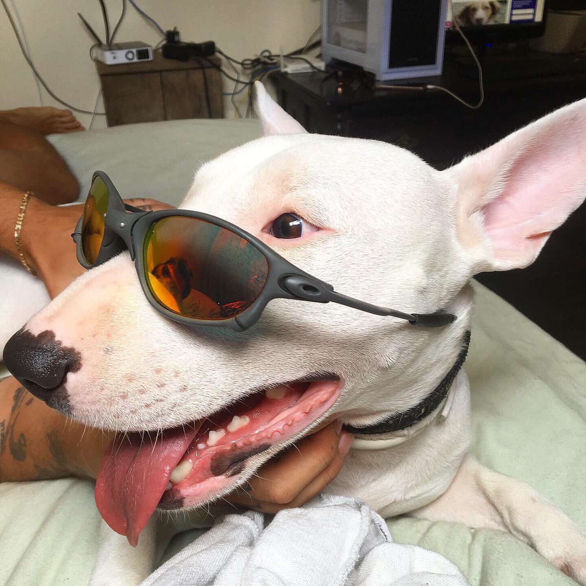 Oakleypic's tweet photo. https://t.co/zhOA4r7LRR