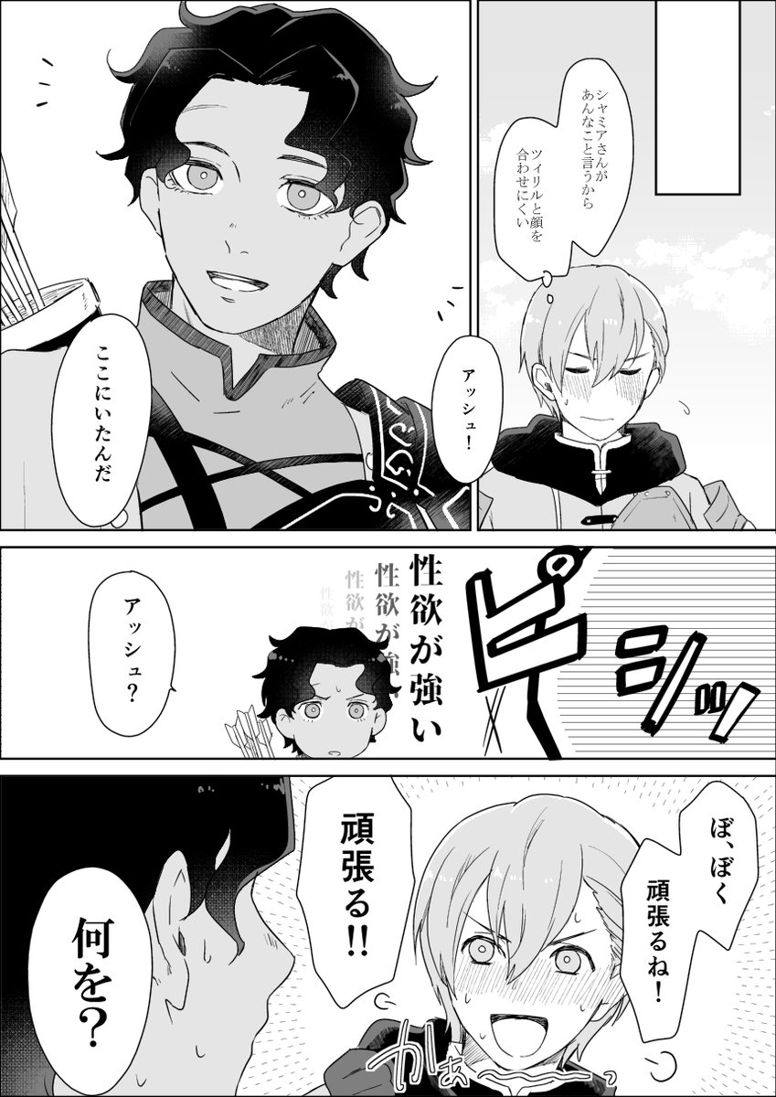 ツィリアシュとちょっとのカトシャミと下ネタと私の偏見の漫画です 