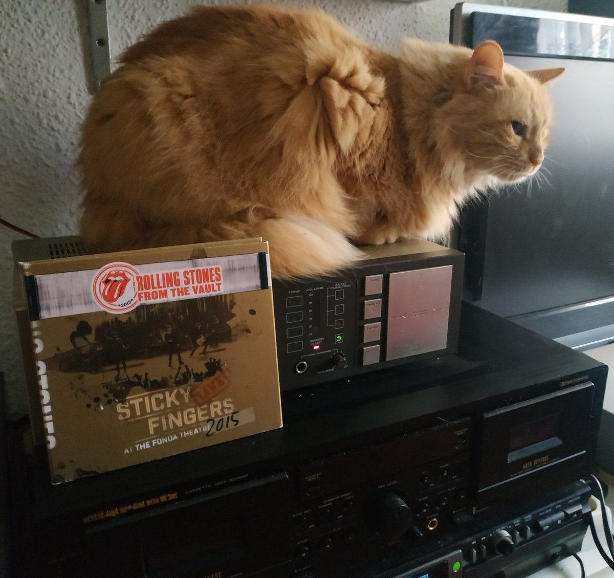 youtu.be/6Nd_l6kbxhU
Desde Flowers
The Rolling Stones
Si mi Peluche es Stoniana se dice y no pasa nada