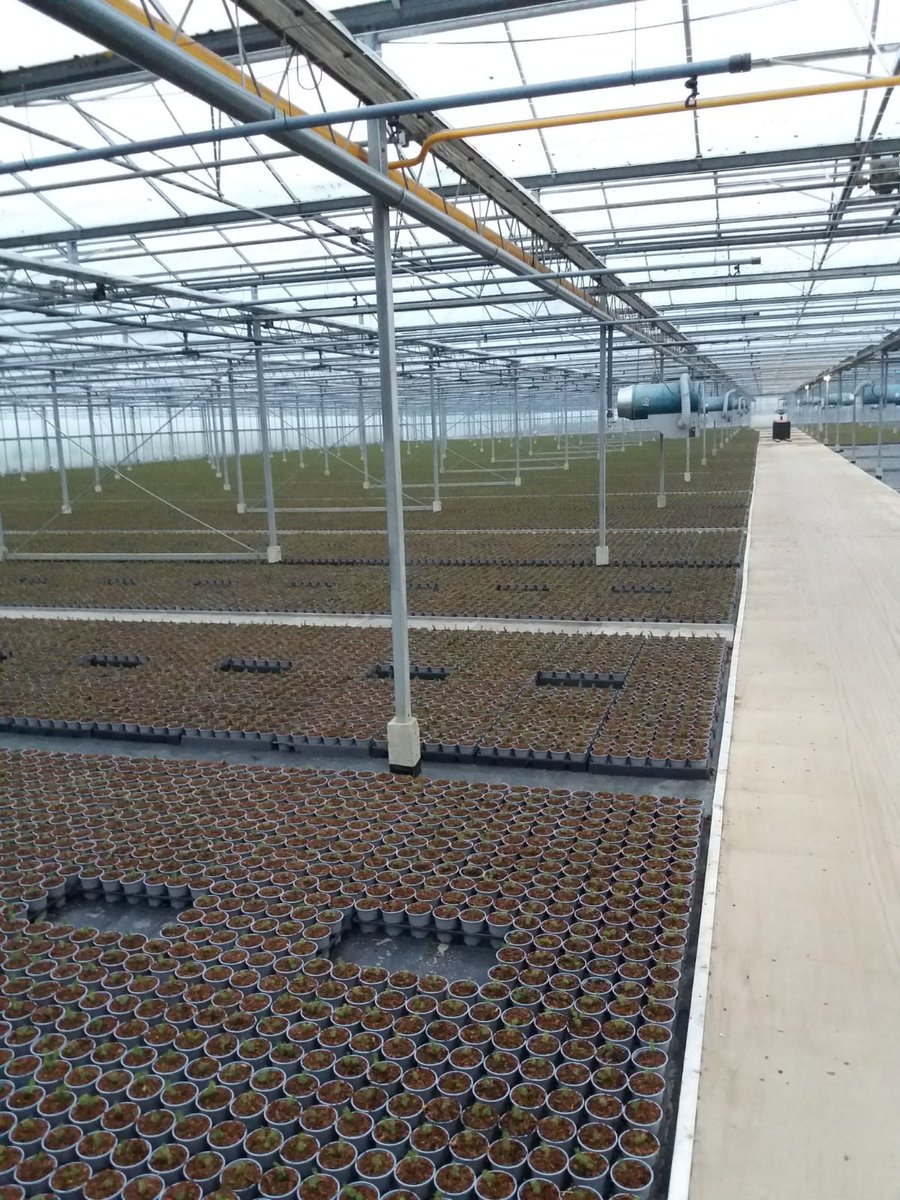 Onze nieuwe #kwekerij in #Beugen staat al bijna vol!
#ibn #participatie