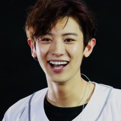 fuck it, chanyeol as puppies: a thread