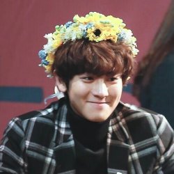 fuck it, chanyeol as puppies: a thread