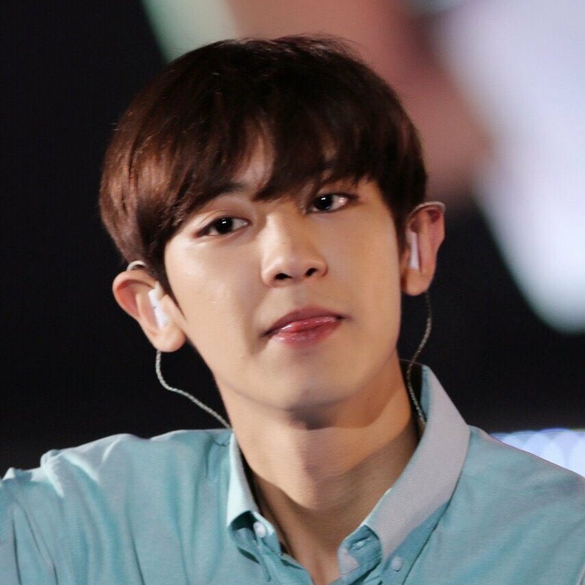 fuck it, chanyeol as puppies: a thread