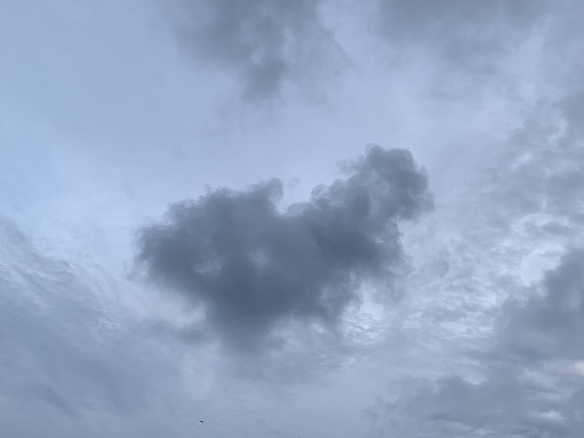 O Xrhsths Kui Yang 葵阳先生sto Twitter 这是我今天傍晚在斐济总统府外面海岸拍到的乌云 是不是有一些像瓷国的地图 我不宣扬什么 推胸推背图 乌鸦满天飞 那些唯心主义的东西 巧合而已 O Xrhsths Kui Yang 葵阳先生sto Twitter 这是我今天傍晚在斐济总统府外面海岸拍到的乌云 是不是有一些像瓷国的地图 我不宣扬什么 推胸推背图 乌鸦满天飞 那些唯心主义的东西 巧合而已