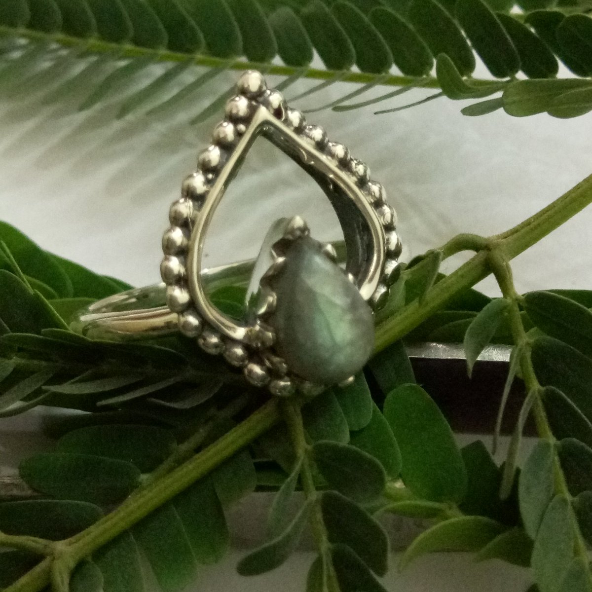 samajit7's tweet photo. Labradorite Ring, 925 Sterling Silver Ring
https://t.co/yJELIAq2JV
#BirthstoneRing #UniqueRing #WeddingRing #ExclusiveRing #HealingRing #BridalRing #VintageRing #NaturalstoneRing #EngagementRing #DelicateRing #WomenRing #BluestoneRing #VintageRing #YogaRing #AnniversaryGift https://t.co/2LYYQCpmqQ