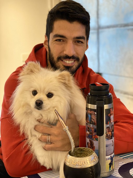 's Media: Buenos dias !!!! Unos mates en buena compania 🐶❤#SIMBA https://t.co/0u7H8RUErz 's Media: Buenos dias !!!! Unos mates en buena compania 🐶❤#SIMBA https://t.co/0u7H8RUErz