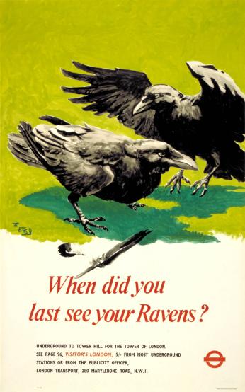 Poster asking when did you last see your ravens? showing two ravens on a green sward of grass.