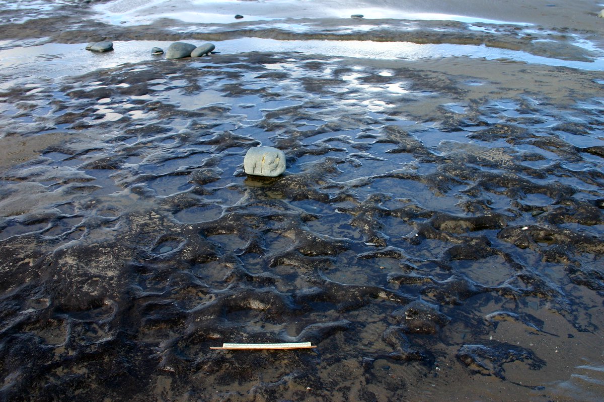 Water poling in footprints in sand taken after tide has receded