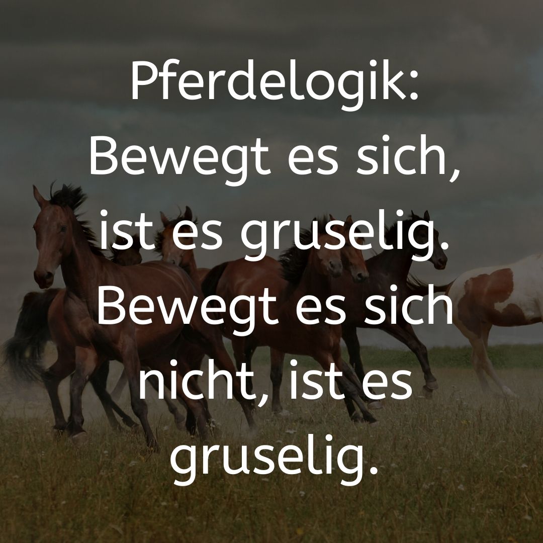 Leute, lasst euch nicht verrückt machen, wegen dem #coronavirus, da wird wieder Mal Panik geschürt. Ich kann euch von ganz anderen, wirklichen Monstern berichten. Guckt mal hier: 
instagram.com/p/B7xwWC_CaL-/…