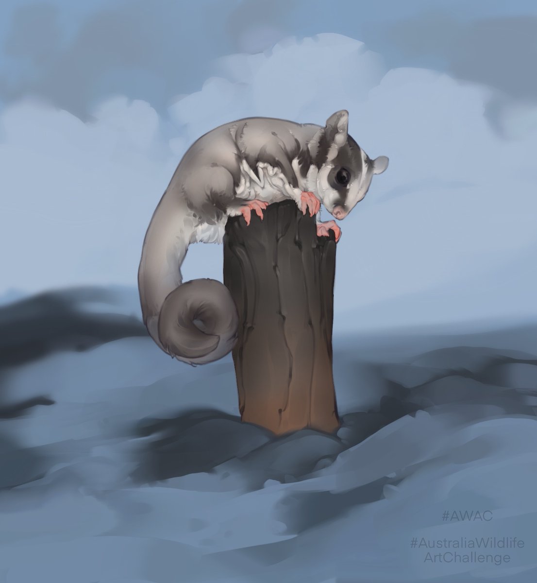 Kridademorti's tweet photo. #bushfires #SaveAustraila #PrayForAustralia  #AWAC #AustraliaWildlifeArtChallenge #Procreate #SugarGlider https://t.co/0mDXfEw4Sa