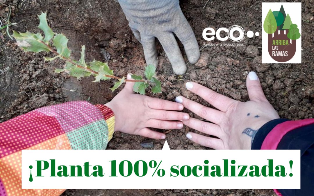 Ecooo_'s tweet photo. NUEVO POST | ¡Hemos completado la socialización de #SaviaSolar! Datos: 16.046 toneladas de CO2 evitadas y  40.512 kWh de energía limpia. Durante 20 años seguiremos donando el 5% de los ingresos obtenidos de dicha planta a la entidad @arribalasramas.☀️🌳
👉https://t.co/RtnPjnbIAW https://t.co/5LHJjmr1Bc