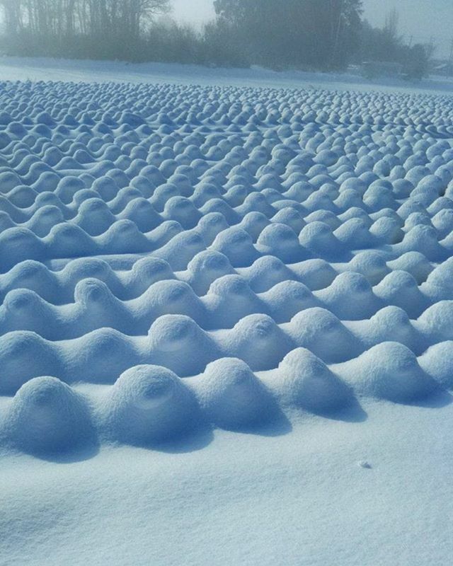 Studio Reko tweet media