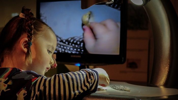 ColMuseums's tweet image. Mini Museum Explorers returns to #Colchester&apos;s Natural History Museum from February. Come along with your little ones for nature-inspired storytelling and play! Spaces are limited each month, so be sure to book: buff.ly/2K5xD39
#WhatsOn #ThingsForKids #Under5s #Essex2020