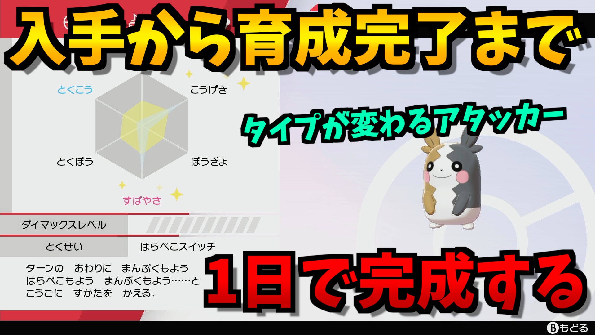 すくると 今日はモルペコ育成だよー 可愛くて強いからみんなも育ててね T Co Qypstorktn ポケモン剣盾 育成論 T Co F7fb1hrirj Twitter