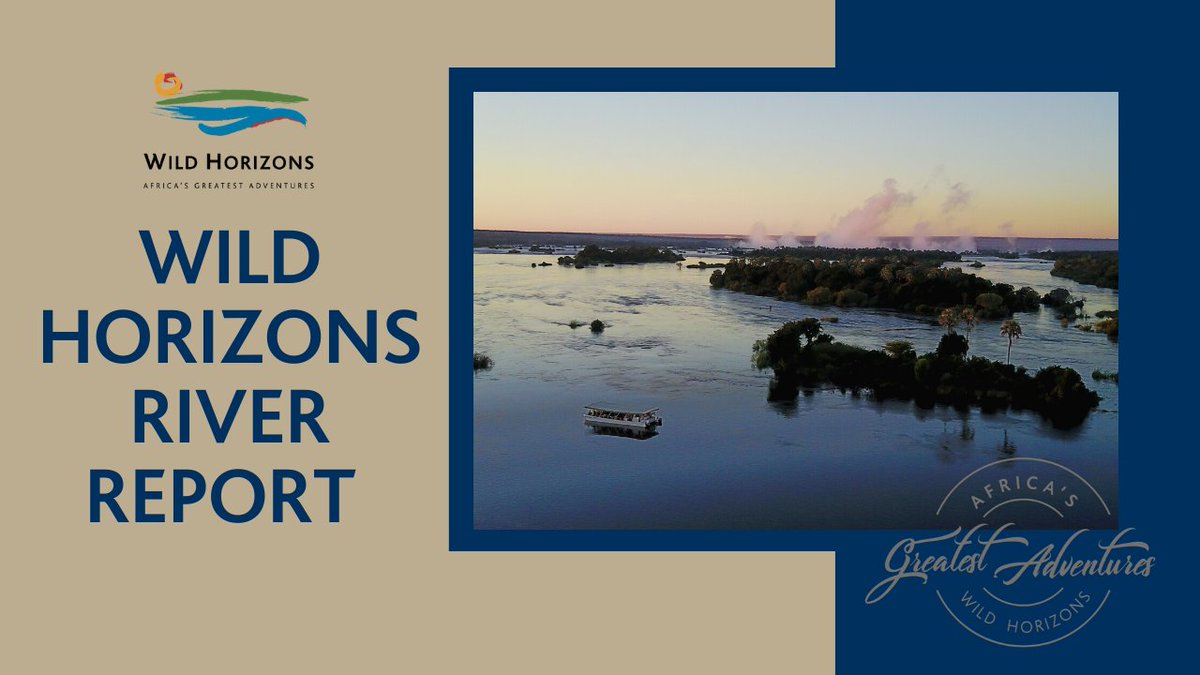 africadmc's tweet photo. Wild Horizon’s first River Report of the new year, designed to give you regular updates on the #ZambeziRiver levels &amp; how this may impact various activities in #VictoriaFalls. It’s great to see that the water levels are rising steadily &amp; the following seasonal product changes... https://t.co/duMP8Gjwb4