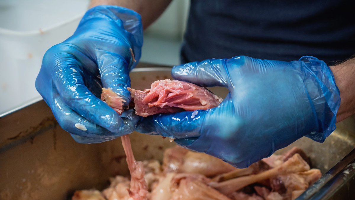 doughedinburgh's tweet photo. Chef separating the meat from these tender slow cooked smoked ham hocks. You can taste this succulent ham on our "Smokey Ham &amp; Mushroom" or our "Doughnt Be Embarrassed To Ask for It" (aka ham &amp; pineapple) pizzas! https://t.co/IGgfuIt4eU