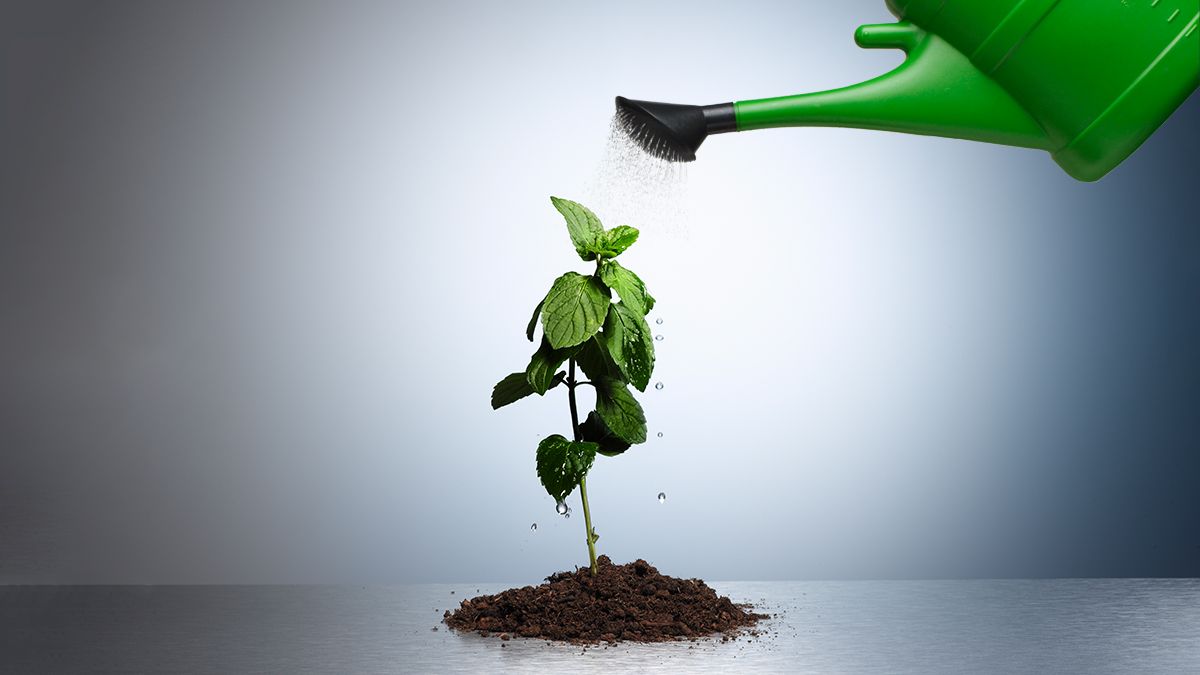 A better way to hire and nurture your top talent? Harvard Business Review put together 7 science-based recommendations you can use to help your managers find, hire, and unlock the optimal people potential in your organization https://buff.ly/2scAeRm #talentmanagement 