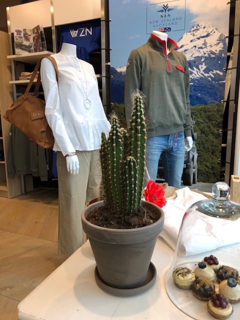 HINC_Dalen's tweet photo. #voorjaarscollectie in de etalage bij HINC
#happyinnewclothes #esprit #nzanewzealandauckland #wilskin #qoss #nieuwecollectie
Blouse € 39,99 Culotte € 49,99
Ketting € 14,95 Hanger € 12,95 Armband € 24,95
Sweater € 89,95 Jeans € 119,95
Leren tas € 139,95 https://t.co/shbEs882vD