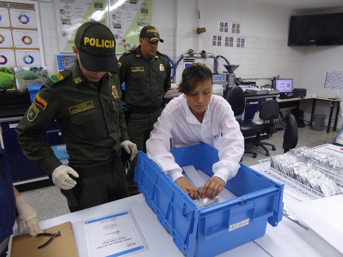 DHL: Delivering The World tweet media