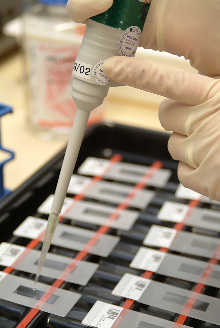 Auftragen von Proben auf einen Träger im Strahlenbiologie Labor