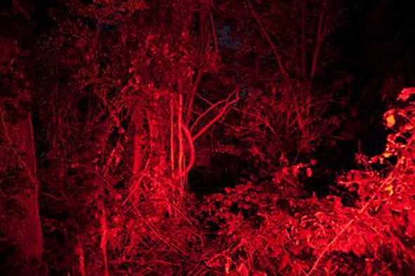 VESPER 3 / Wildness / The sylvan returns to European culture both as an image, capable of distilling the character of places and the modalities of crossing them, and a reality / Abstract deadline: February 5, 2020 / bit.ly/3b47Pyy / #call