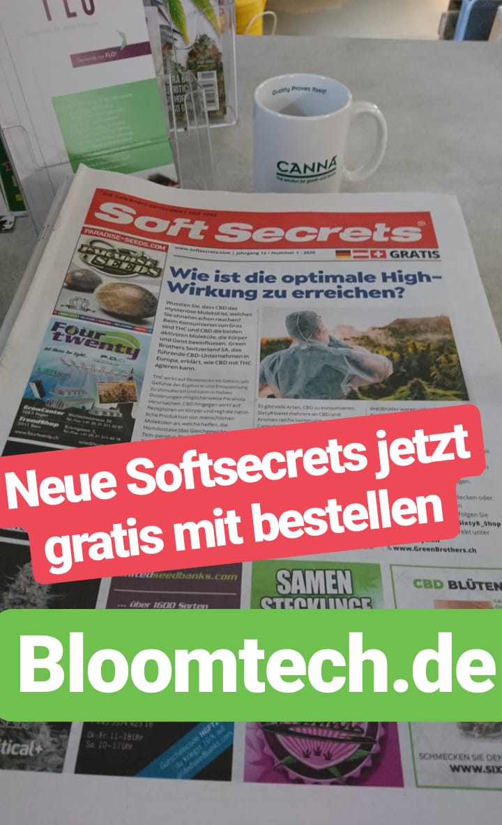 _Bloomtech tweet picture