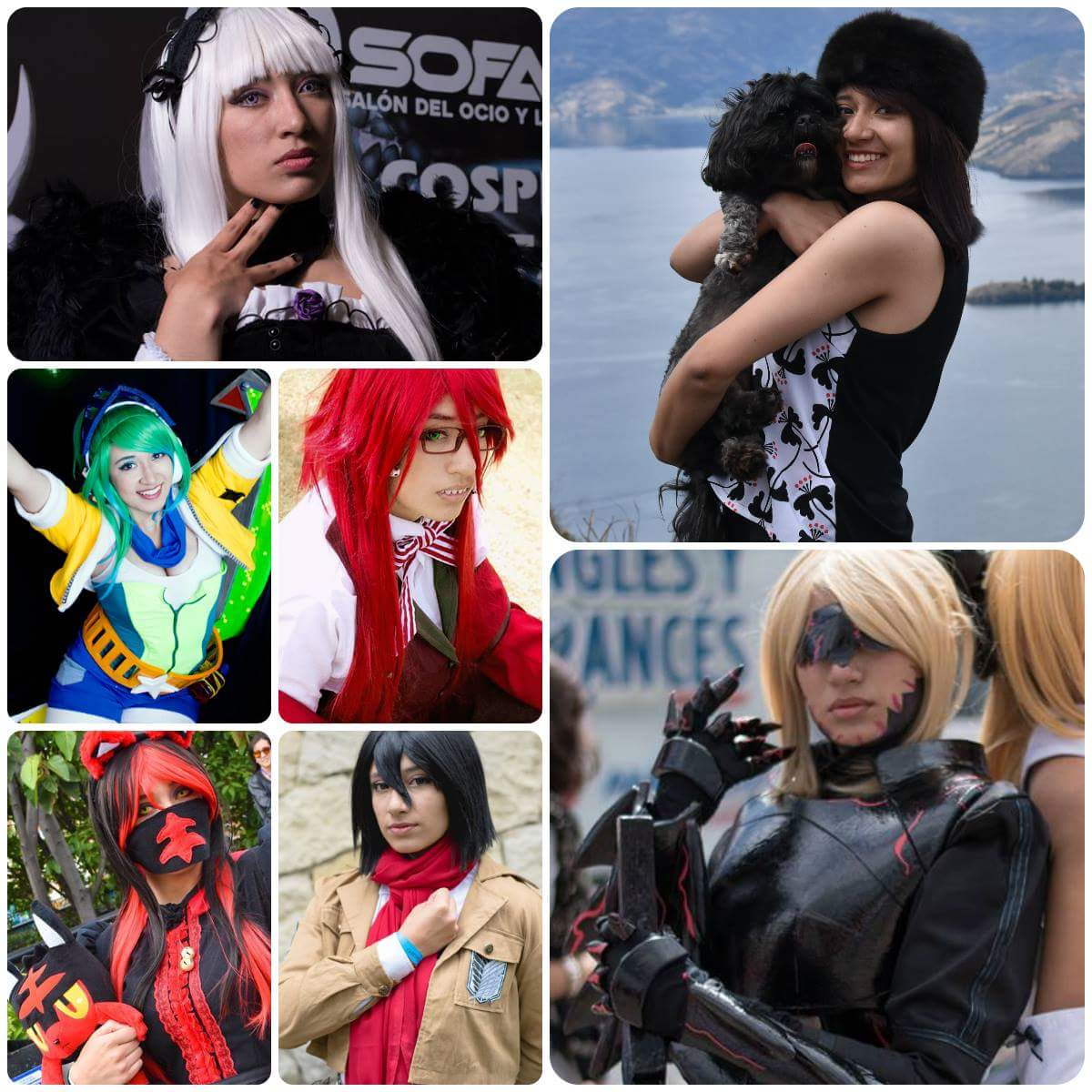 GUARITO 🦁🇮🇩🇨🇴🇰🇷🇲🇽🇨🇱 tweet media