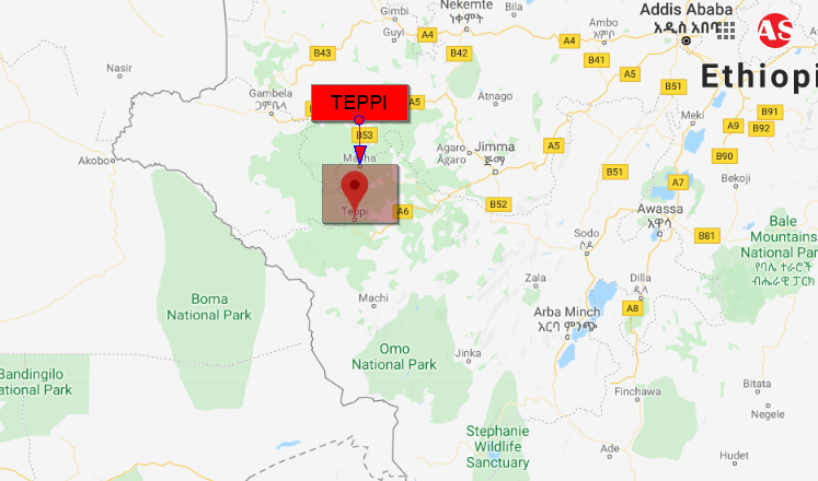 addisstandard's tweet photo. #Ethiopia: Residents in #Teppi city, #Sheka zone of #SNNPRS, live in constant fear due to crimes & attacks from organized groups. Last week two brothers were killed in one night. Zonal admin admits the security problems & blames "anti-peace" elements.
https://t.co/RASmBaOrnF https://t.co/I22l4O2P8g