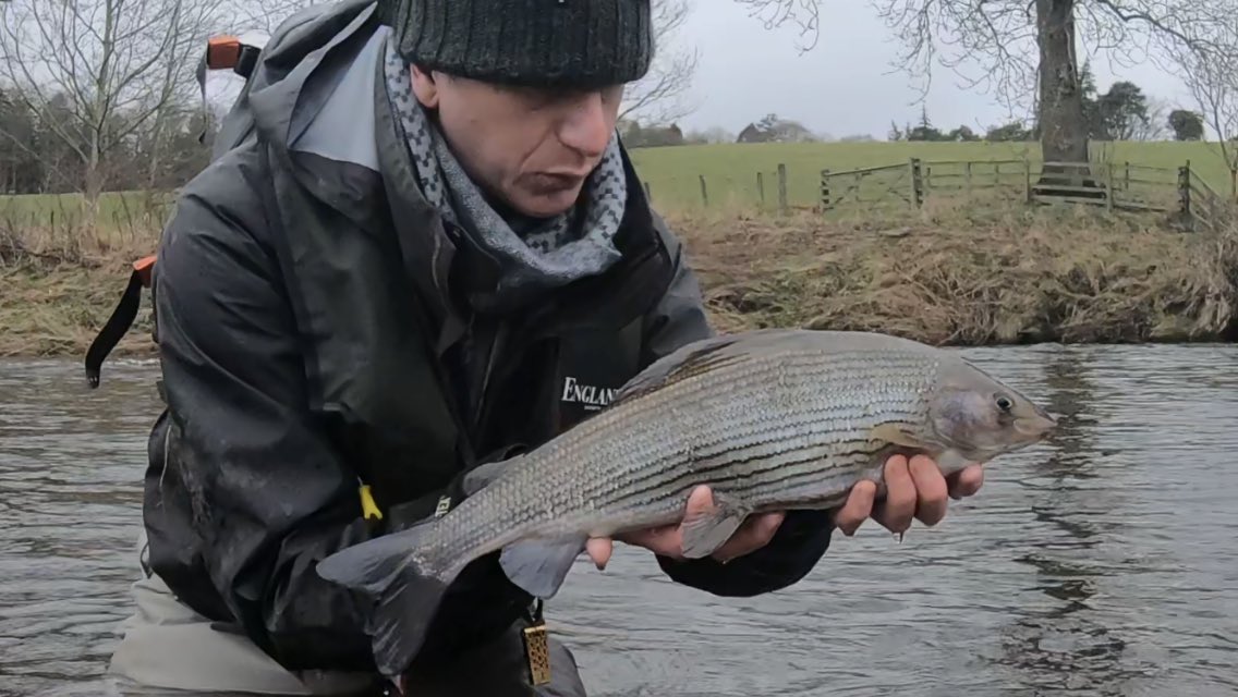 KingfisherGuide's tweet photo. Wind, rain and Grayling! Fabulous day yesterday ๐ #grayling #graylingflyfishing #itonlycountsonthefly #tweedfishing #flyfishingjunkie #flyfishing #flyfishinguk #graylingfly #nymphfishing #thegreatoutdoors #hardyflyfishing #abelfishing #flyfishingguide https://t.co/RMdMJr5C25