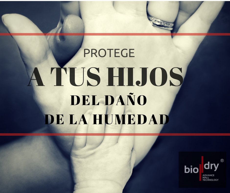 BiodrySpain's tweet photo. No dejes que la humedad sea un problema para tu salud y los tuyos! 🙇‍♀️🙅‍♀️ https://t.co/lh7K6AiRQ0