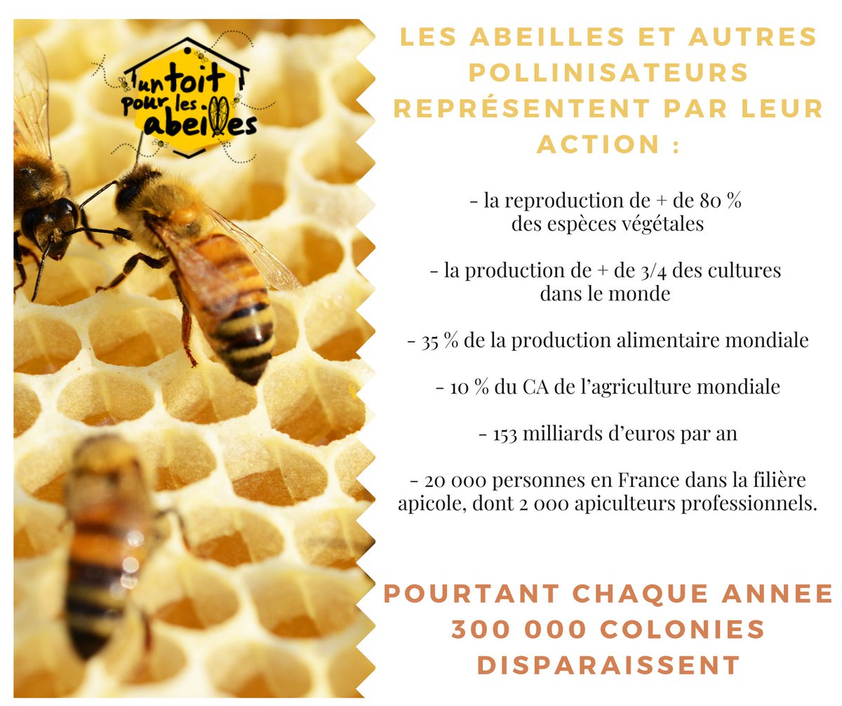 1ToitPourLesAbeilles tweet media