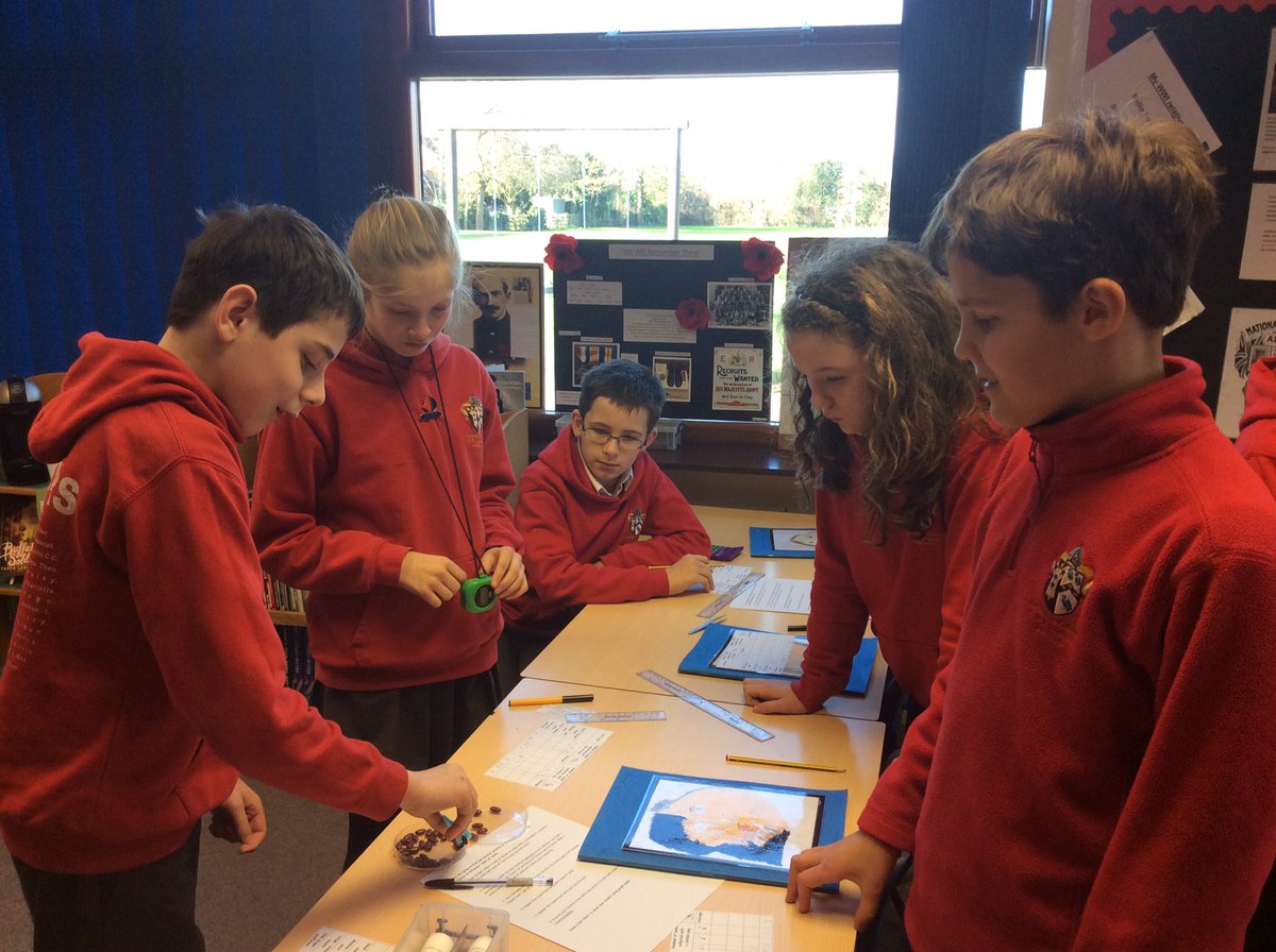 AslocktonSchool's tweet image. After investigating, Year 6 had to decide which beaked birds would survive on different islands, with different food sources. #naturalselection #enquiringminds