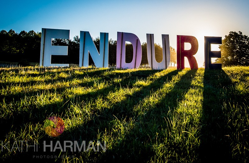 Kathi Harman tweet media